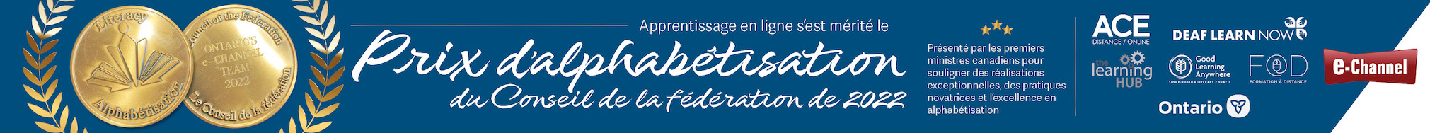 e-Channel Literacy Award banner in French